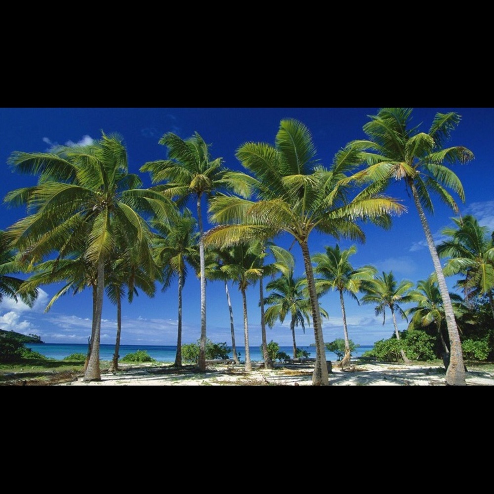 Meet your Posher, Becca